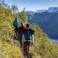 Tipps für atemberaubende Fotos in Nationalparks