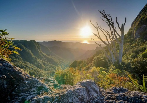 Tipps zum Fotografieren bei unterschiedlichen Lichtverhältnissen